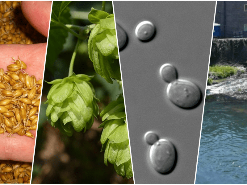 มารู้จักวัตถุดิบผ่านสูตรเบียร์กันเถอะ